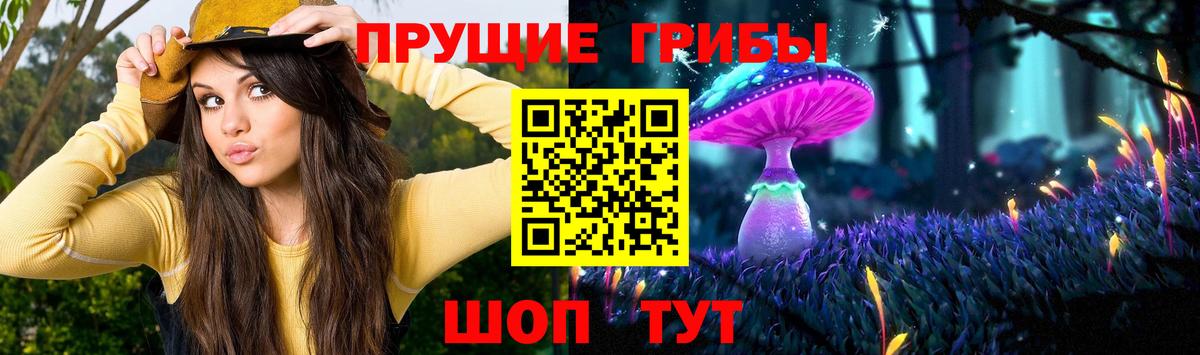 Сланцы  Галлюциногенные грибы мицелий  Галлюциногенные грибы Cubensis  хочу   Вход с VPN 